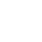 rsm-logo-white-300x300